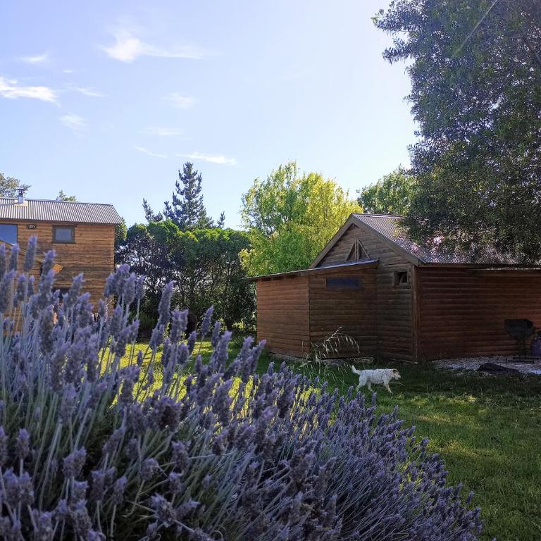 Las Cabañitas Necochea - One-Bedroom Apartment - 5