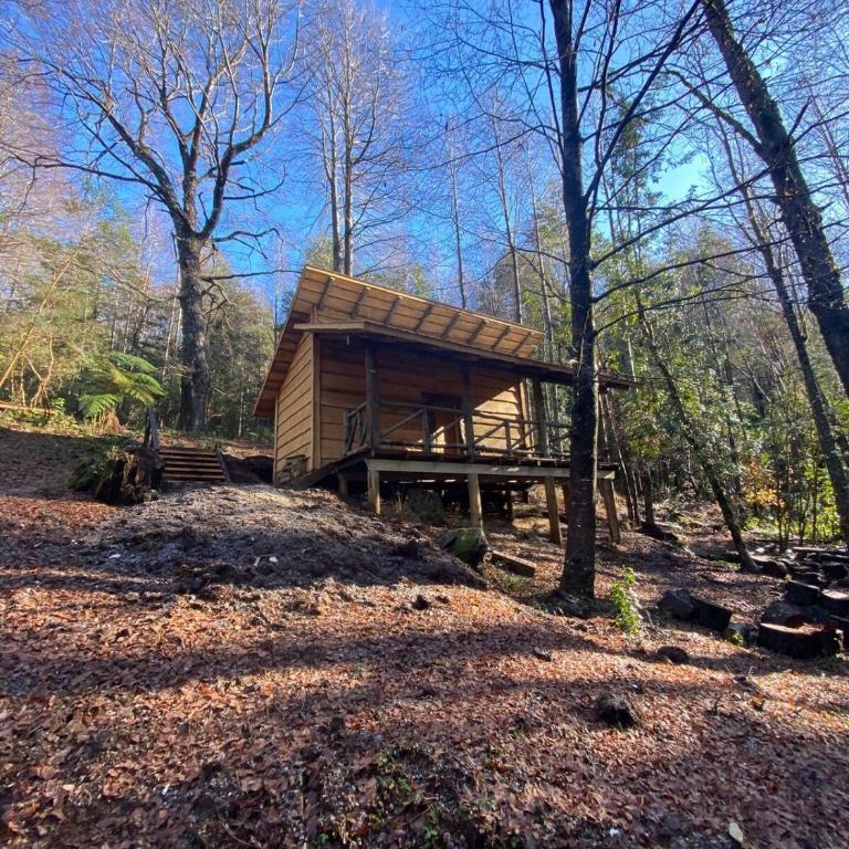 Aventura mágica! Cabañas del bosque con ribera - One-Bedroom House - 7
