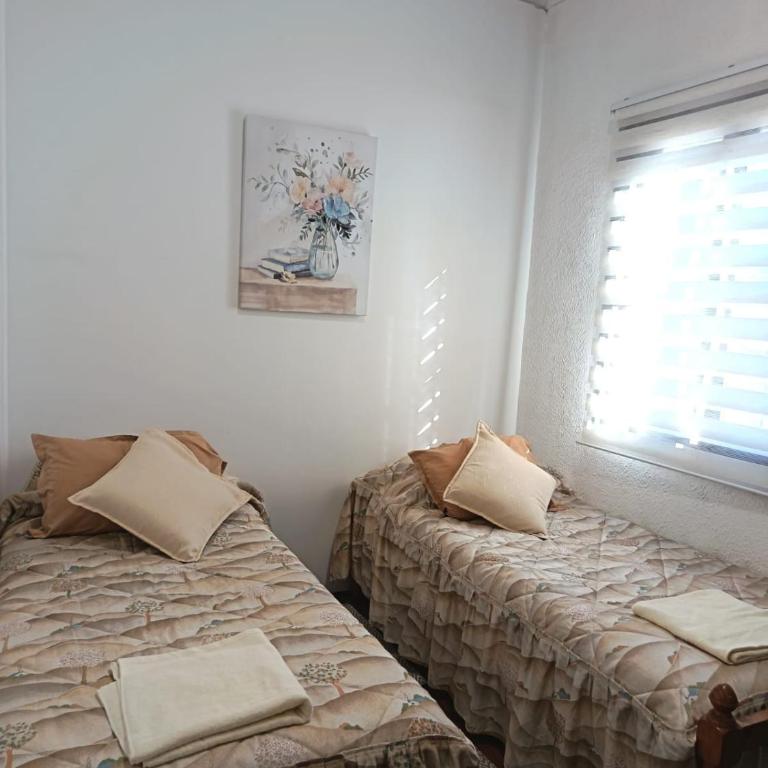 Hostal Cotroneo - Twin Room - 4