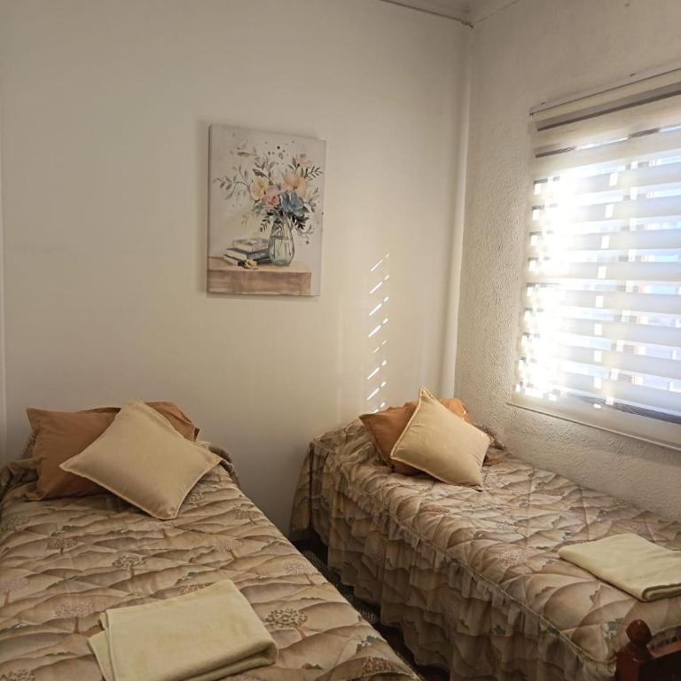 Hostal Cotroneo - Twin Room - 3