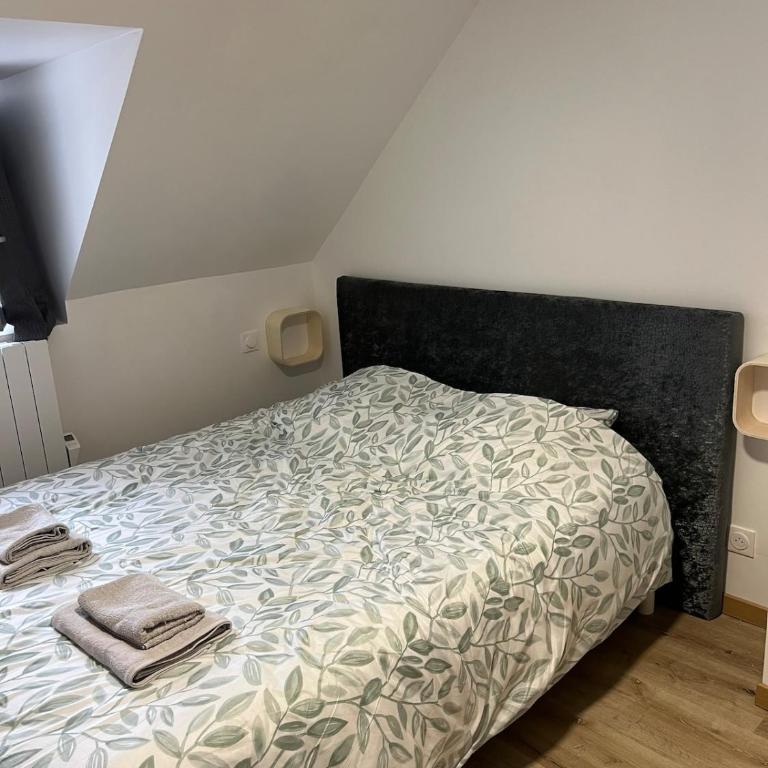 Le Cocon Alpin - Appartement 3 Chambres - 6