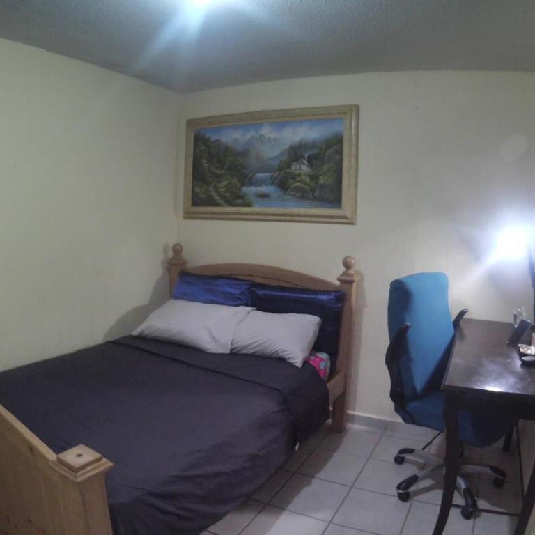 dLeon - One-Bedroom Apartment - 59
