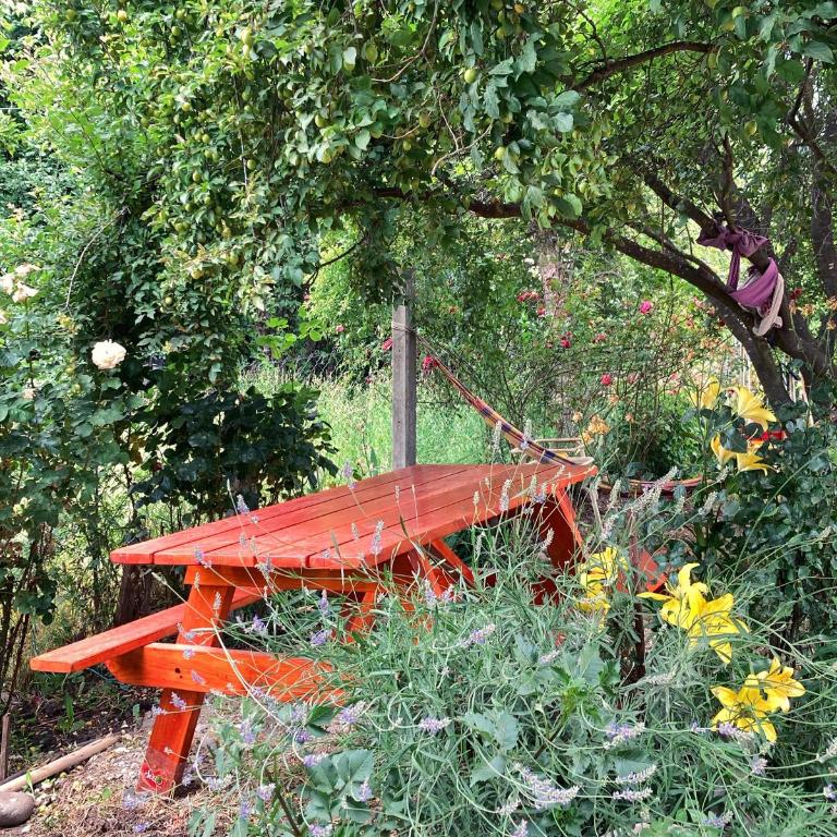 Al Pie del Piltri - Apartamento de 2 dormitorios con vistas - 13