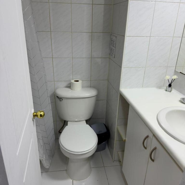 Teatinos City Apartment - One-Bedroom Apartment - 10