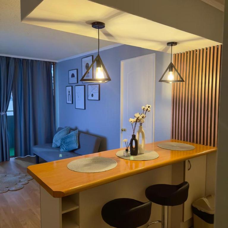 Teatinos City Apartment - One-Bedroom Apartment - 19