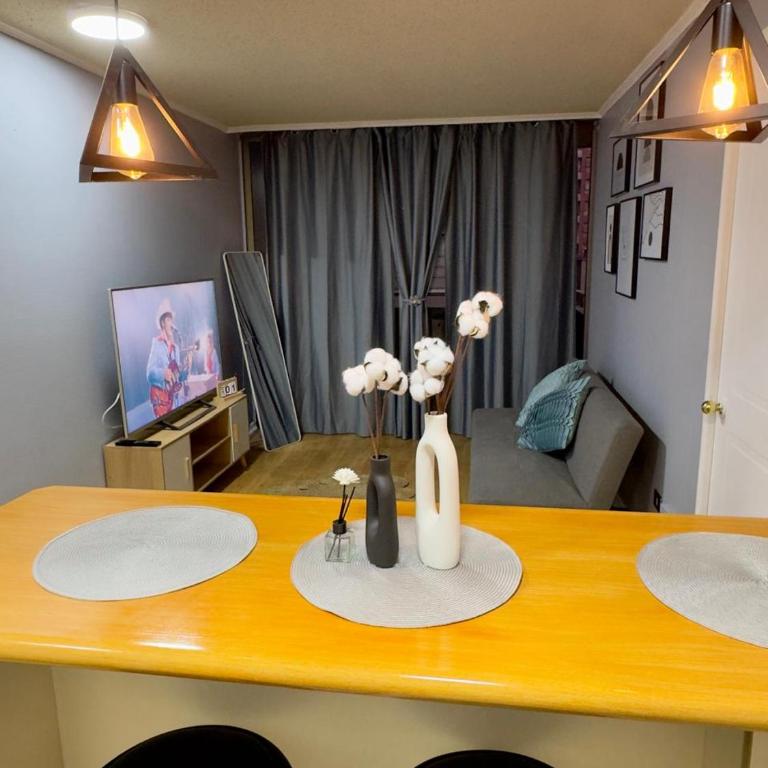 Teatinos City Apartment - One-Bedroom Apartment - 7