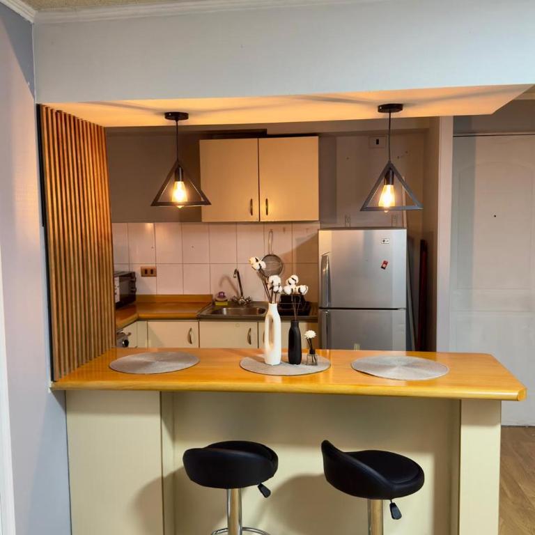 Teatinos City Apartment - One-Bedroom Apartment - 12
