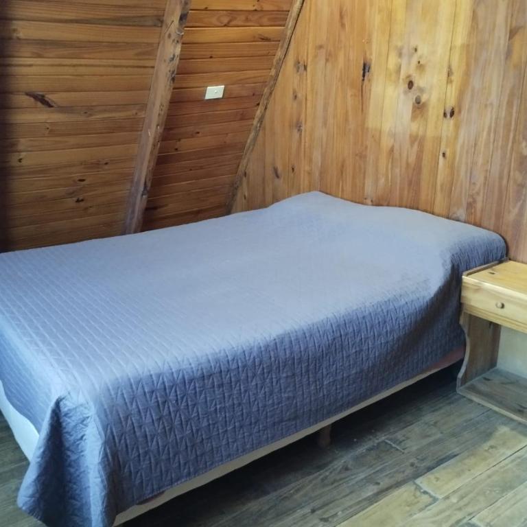 Cabañas UMANTULEN - One-Bedroom House - 3