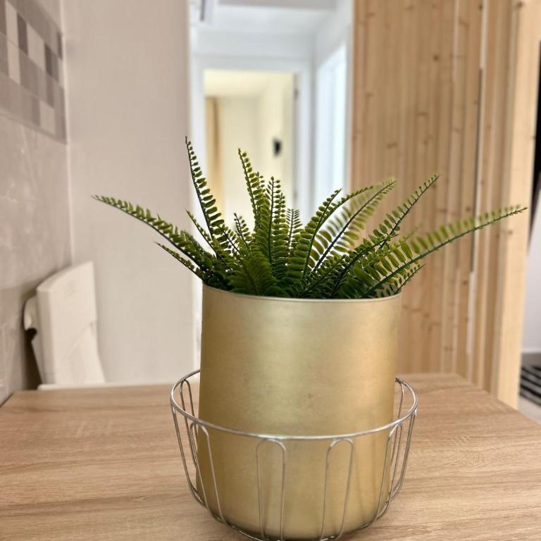 Blessed holidays in a new and equipped apartment, Wi-Fi - Two-Bedroom Apartment - 13