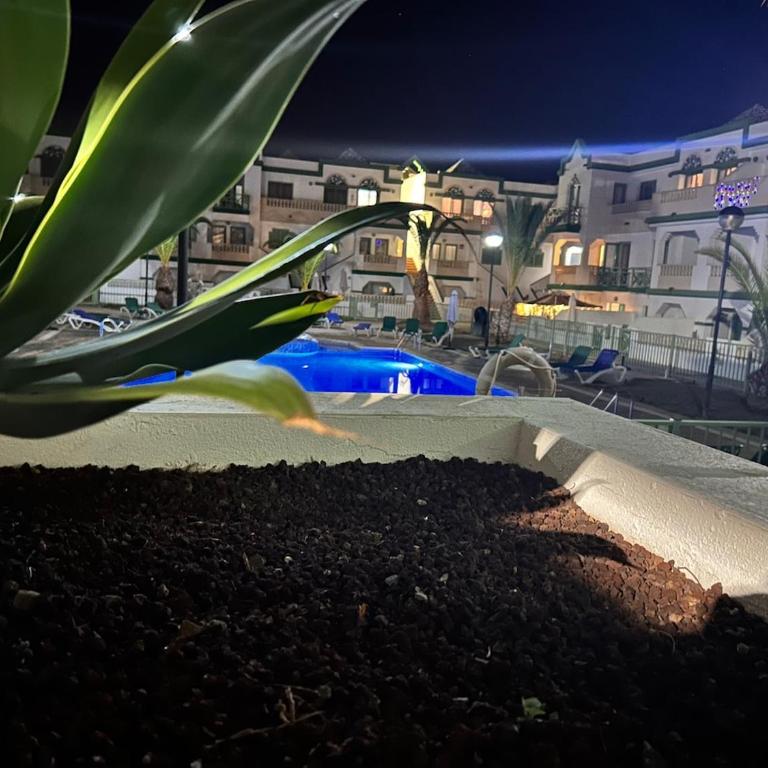 Blessed holidays in a new and equipped apartment, Wi-Fi - Two-Bedroom Apartment - 14