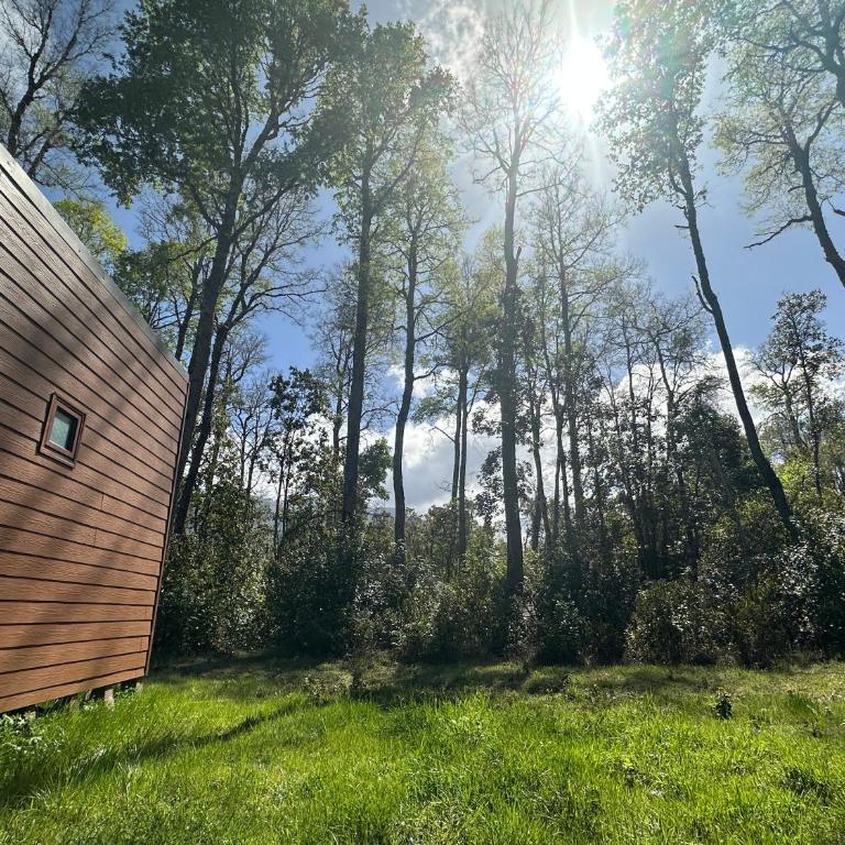 Bosque de Hualles Cabañas - Naturaleza y Descanso en Pucón - Pet-Friendly - One-Bedroom House - 2