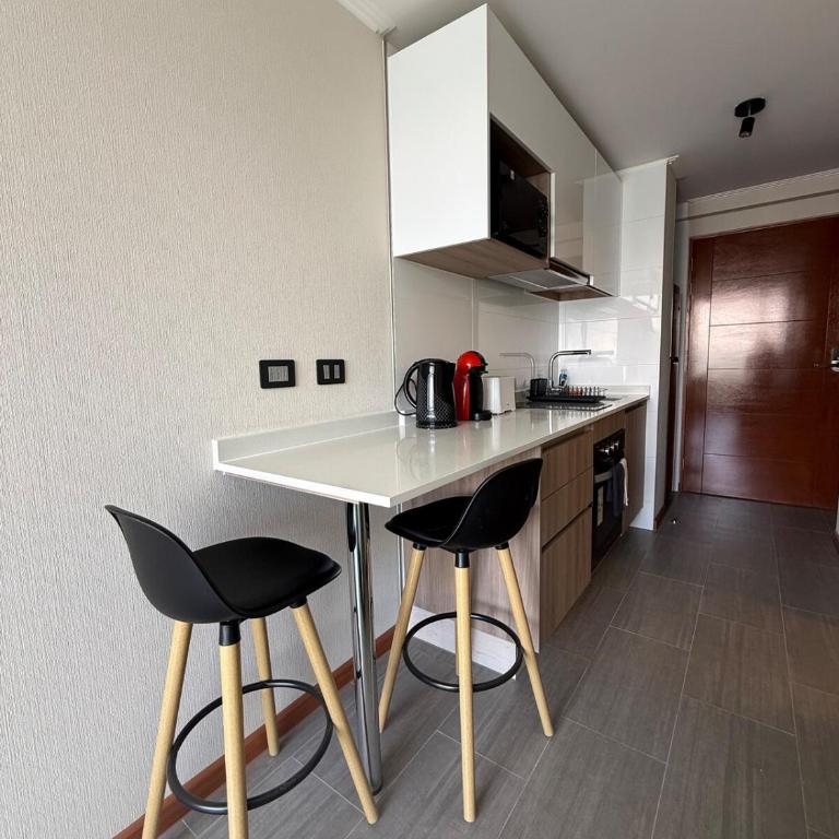 Studio Apartment 1D 1B Cavancha Peninsula - One-Bedroom Apartment - 4