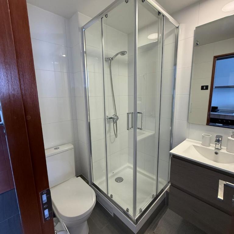 Studio Apartment 1D 1B Cavancha Peninsula - One-Bedroom Apartment - 5