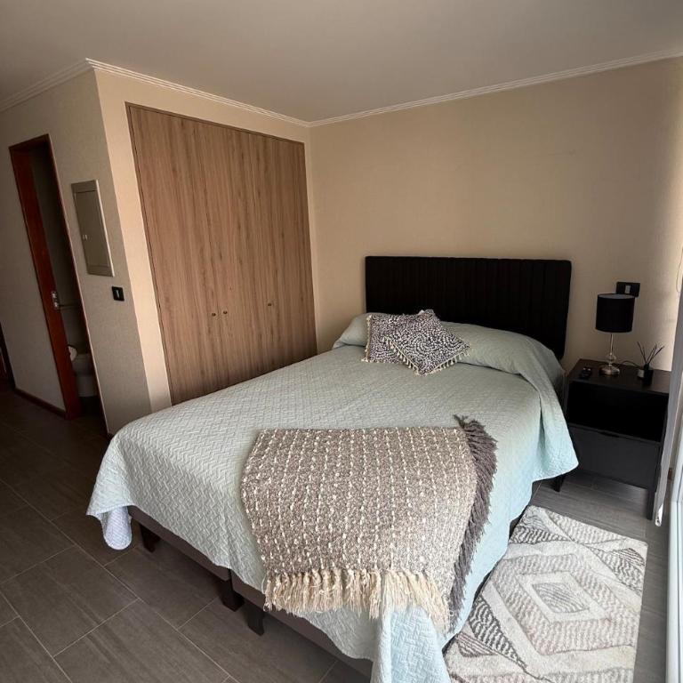 Studio Apartment 1D 1B Cavancha Peninsula - One-Bedroom Apartment - 11