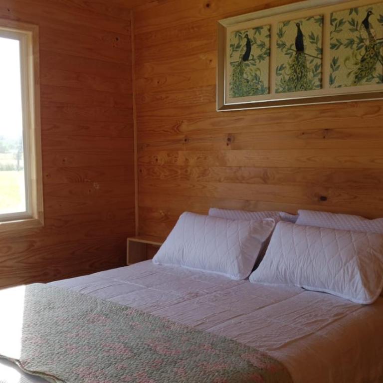Cabaña en Frutillar - Vacation Home - 12