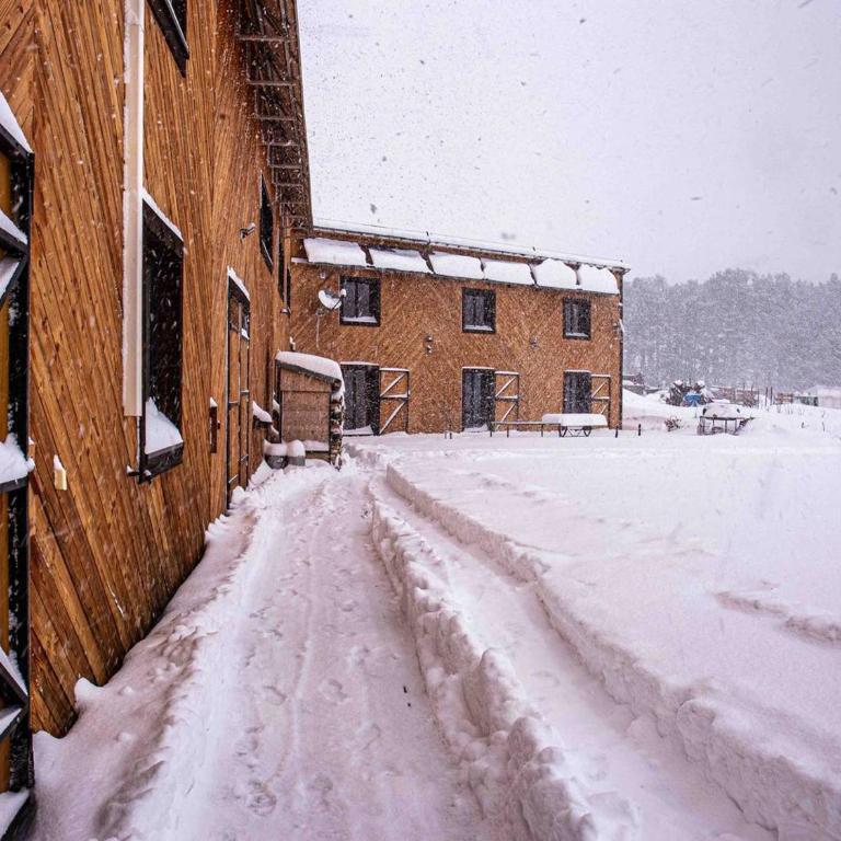 Maison Prestige en Forêt pour 15, Confort et Élégance aux Angles - FR-1-295-213 - Casa Vacanze - 2