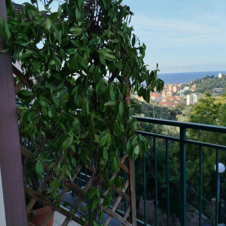 Salva's House - Appartamento con 1 Camera da Letto - 8