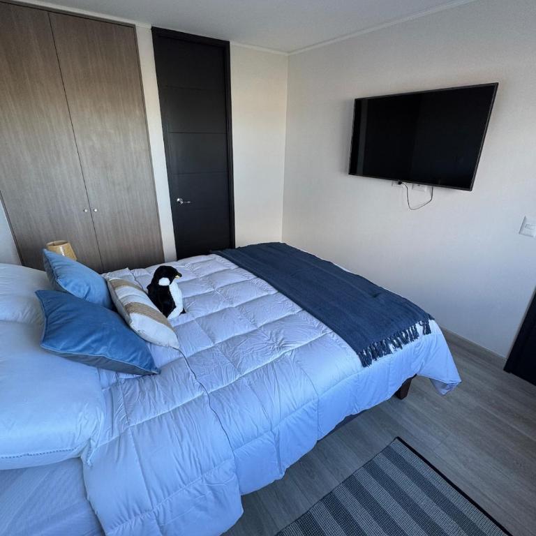 Hogar de los patiperros - One-Bedroom Apartment - 3