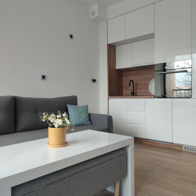 Banja Residence Apt - Apartman sa 1 Spavaćom Sobom - 4