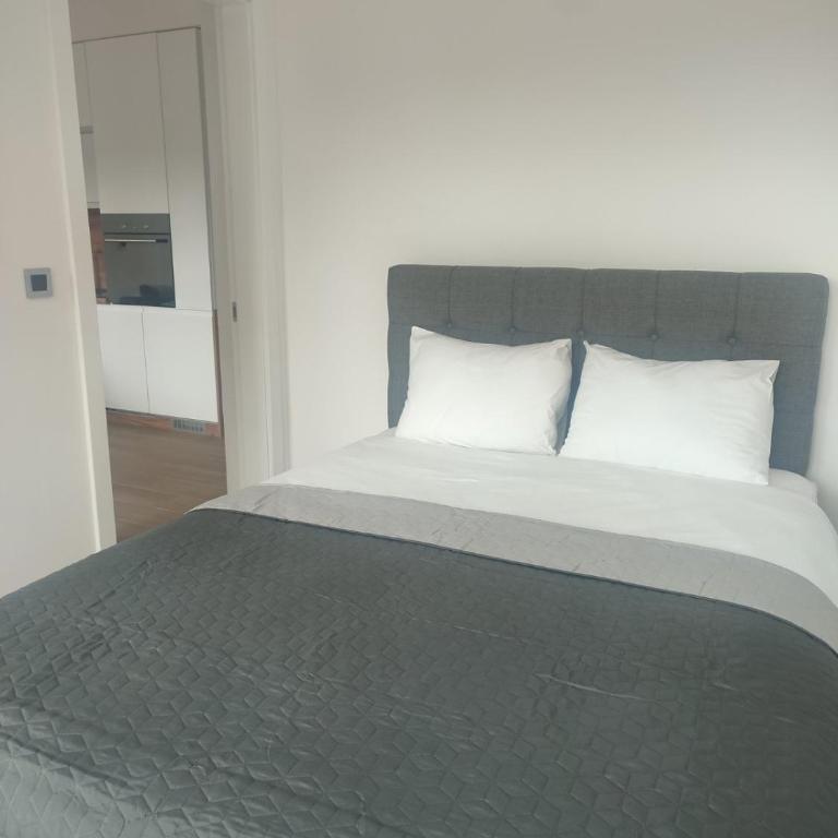 Banja Residence Apt - Apartman sa 1 Spavaćom Sobom - 8