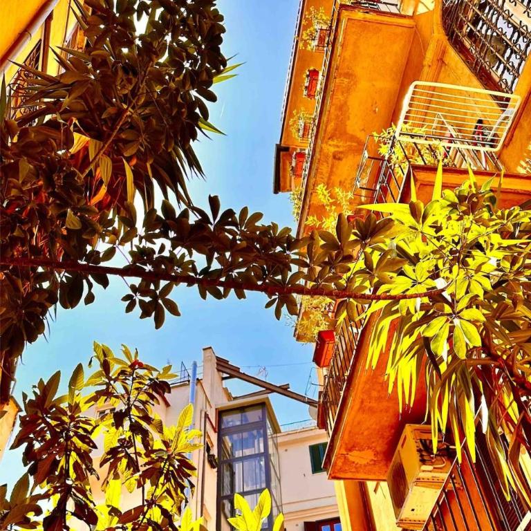 Palazzo Centini Toni - Rome with style - Loft - 5