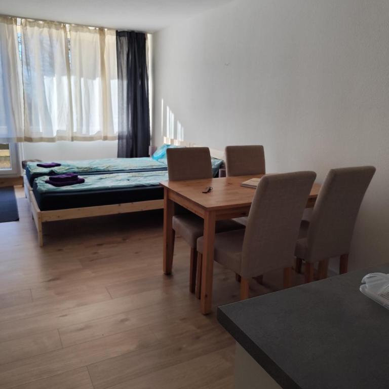 Ferienapartment Maria in Sankt Englmar - Appartamento con 1 Camera da Letto - 6