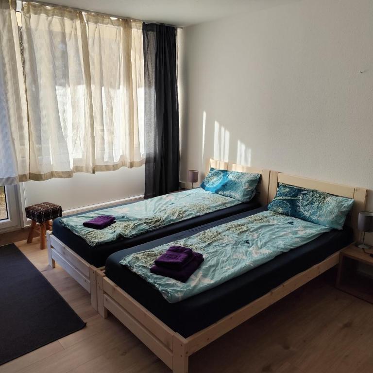 Ferienapartment Maria in Sankt Englmar - Appartamento con 1 Camera da Letto - 3