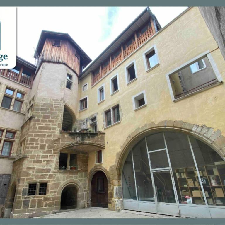 L'Allobroge - Charme & confort au cœur de Vienne - Appartement 1 Chambre - 3