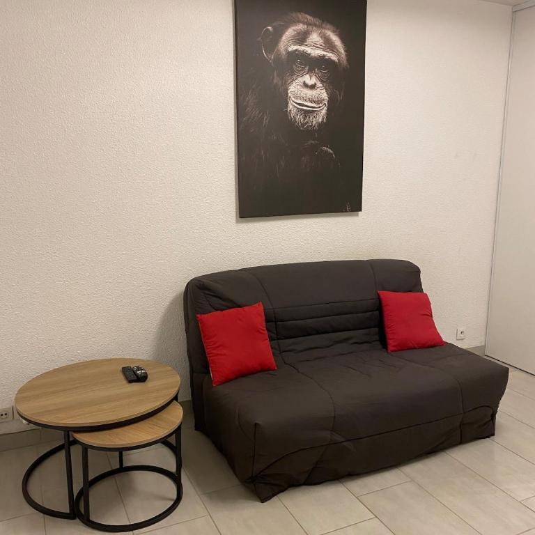 Joli studio cabine à quelques mètres des plages - Appartement 1 Chambre - 7