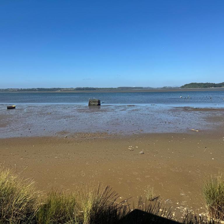 Cabañas y Tinajas Rio Quenuir - Casa de 2 dormitorios - 1