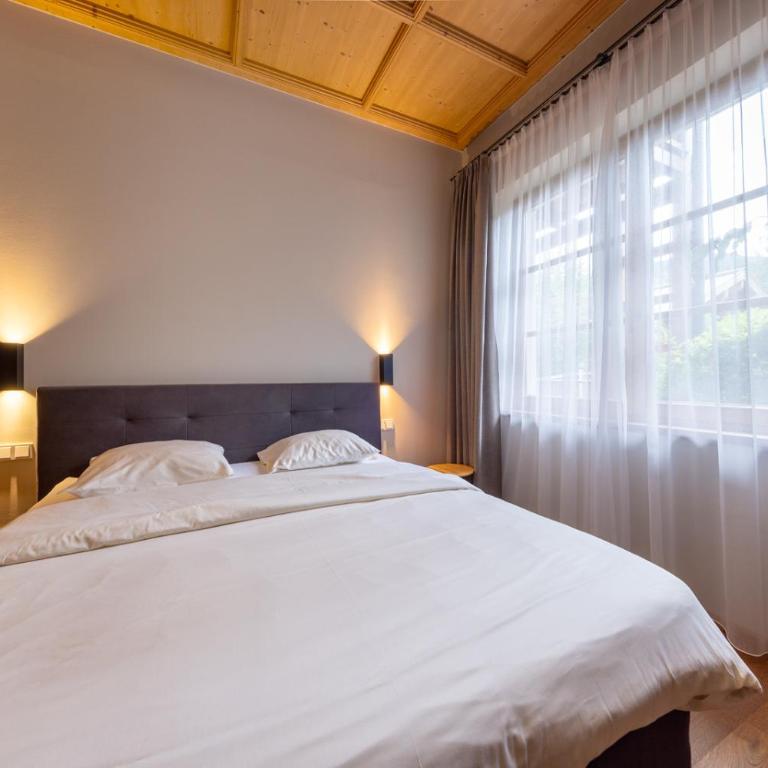 Clubhotel Hinterthal Lodge D2 - Vacation Home - 4