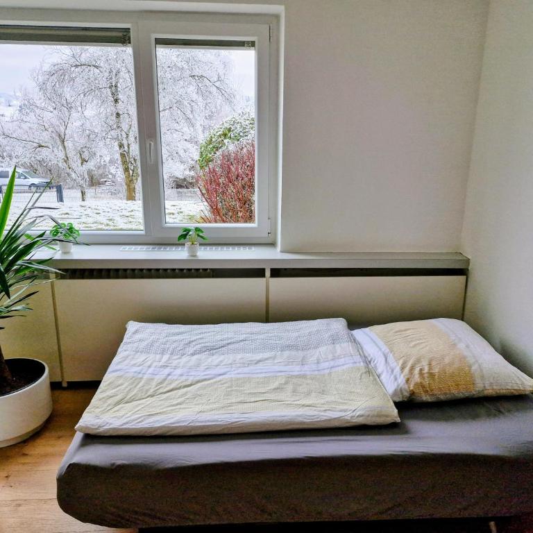 FeWo Herz im Allgäu 2 - Apartment mit 2 Schlafzimmern und Gartenblick - 16