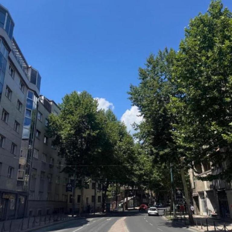 Apartment Sarajevo Stay - Apartman sa 1 Spavaćom Sobom - 54