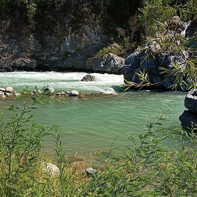 Cabaña EMBALSE ANCOA linares - Apartamento de 1 dormitorio - 4