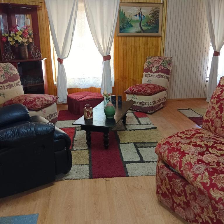 Cabaña EMBALSE ANCOA linares - Apartamento de 1 dormitorio - 15