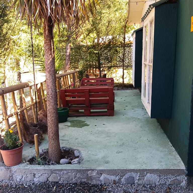 Cabaña EMBALSE ANCOA linares - Apartamento de 1 dormitorio - 16