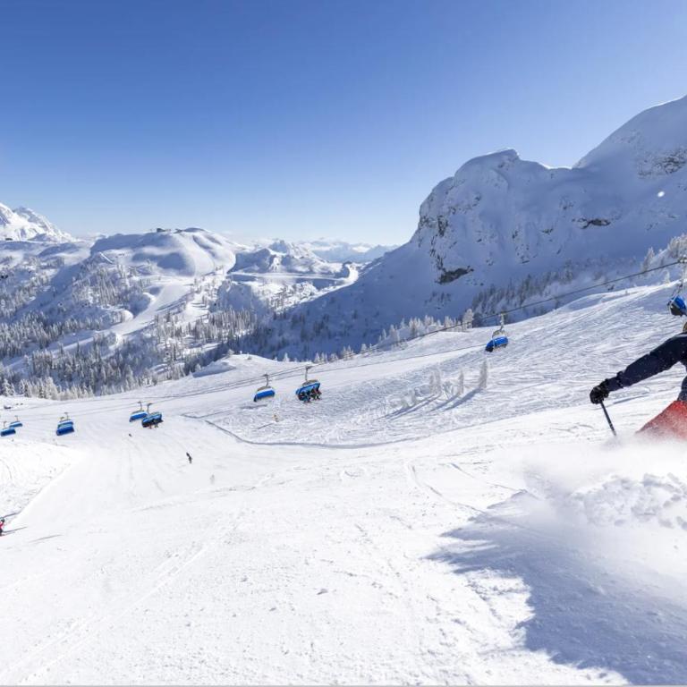 Alp Chalet Gundersheim - Chalet - 45