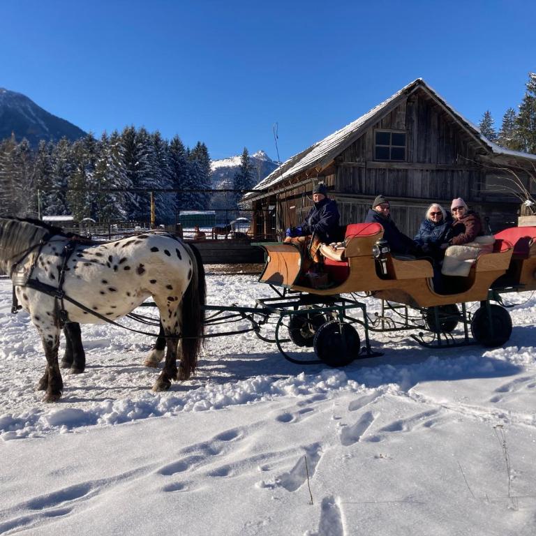 Alp Chalet Gundersheim - Chalet - 53