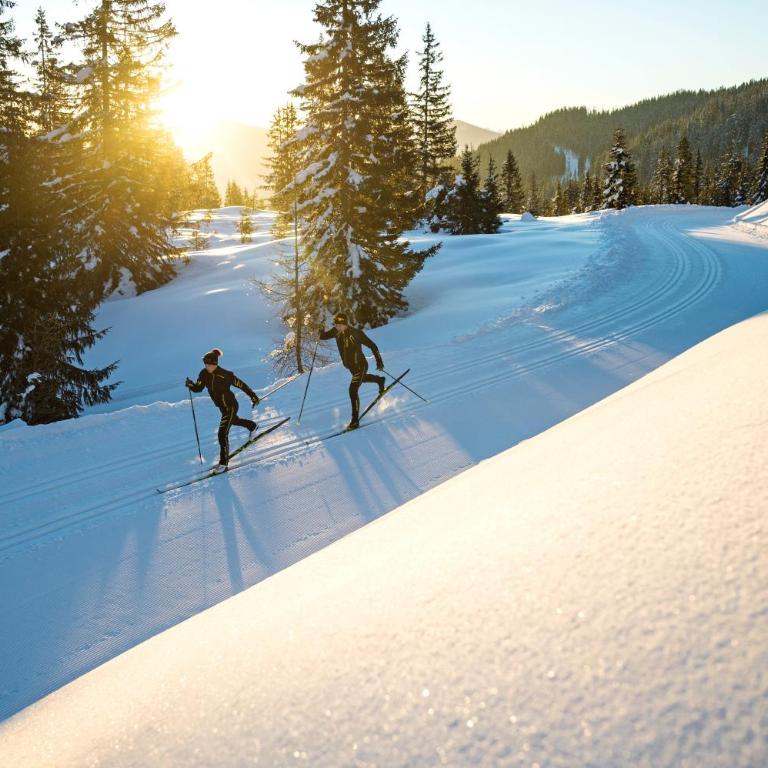 Alp Chalet Gundersheim - Chalet - 50