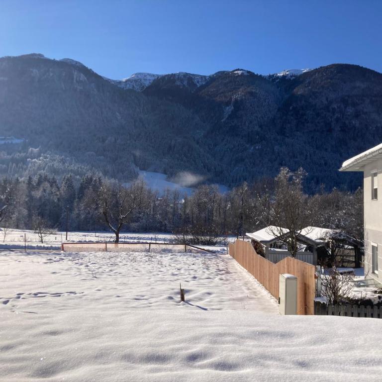 Alp Chalet Gundersheim - Chalet - 43