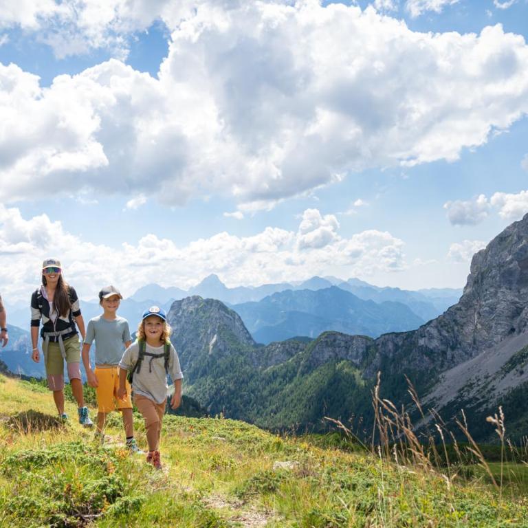 Alp Chalet Gundersheim - Chalet - 28