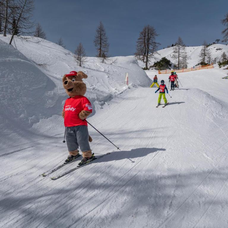 Alp Chalet Gundersheim - Chalet - 47