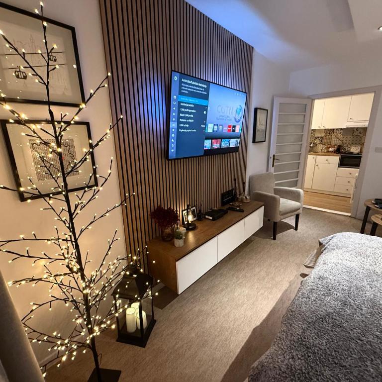 Apartment Sarajevo Stay - Apartman sa 1 Spavaćom Sobom - 28