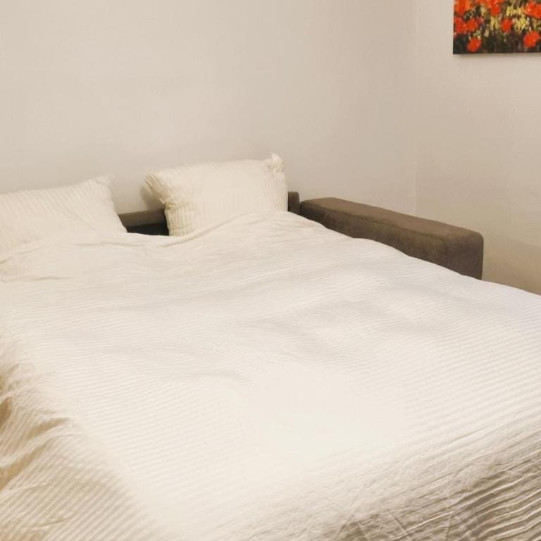 Schöner wohlfühlen in Augsburg 2 zimmer apartment zentral bis zu 4 personen - Appartement 2 Pièces - 6