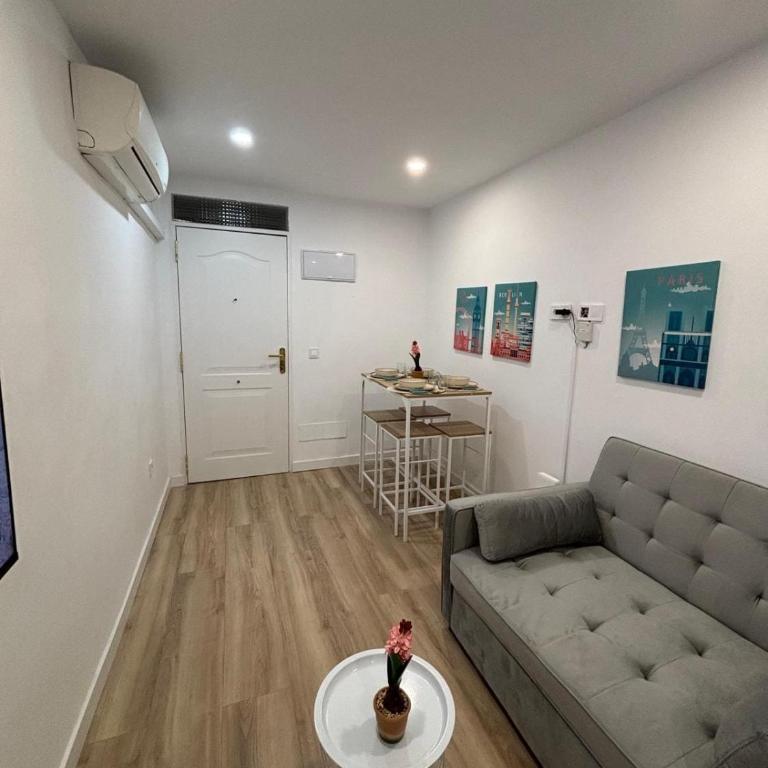 Renovated apartment 15 minutes from Sol - Two-Bedroom Apartment - 10