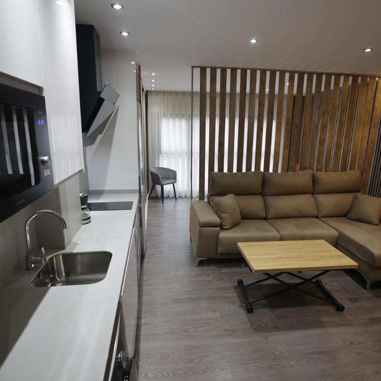 Luxury Gran Teatro - Apartamento de 1 dormitorio - 1