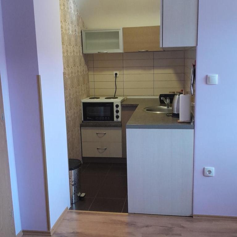 Apartmani Aleksijević Zlatibor - Apartman sa 1 Spavaćom Sobom - 4