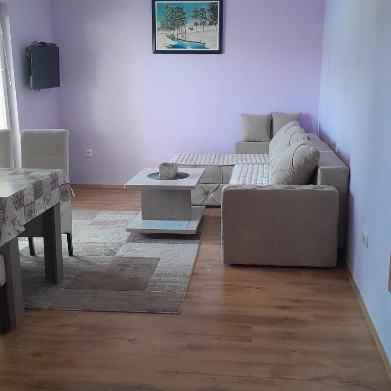 Apartmani Aleksijević Zlatibor - Apartman sa 1 Spavaćom Sobom - 1