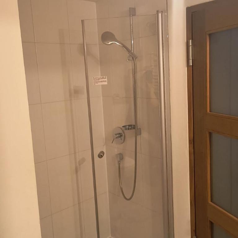 Altstadtperle - wohnen mittendrin - - Apartment mit Dusche - 15