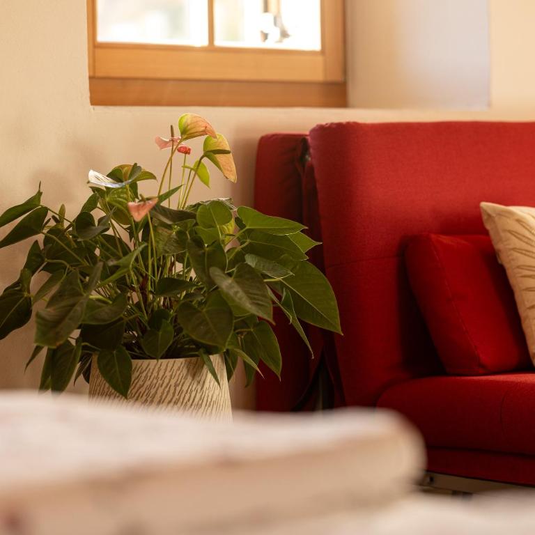 Unterkofler Farm Holiday - Peaceful Nature Stay with Stunning Panoramic Views near Bolzano - Apartamento de 1 dormitorio con balcón - 4